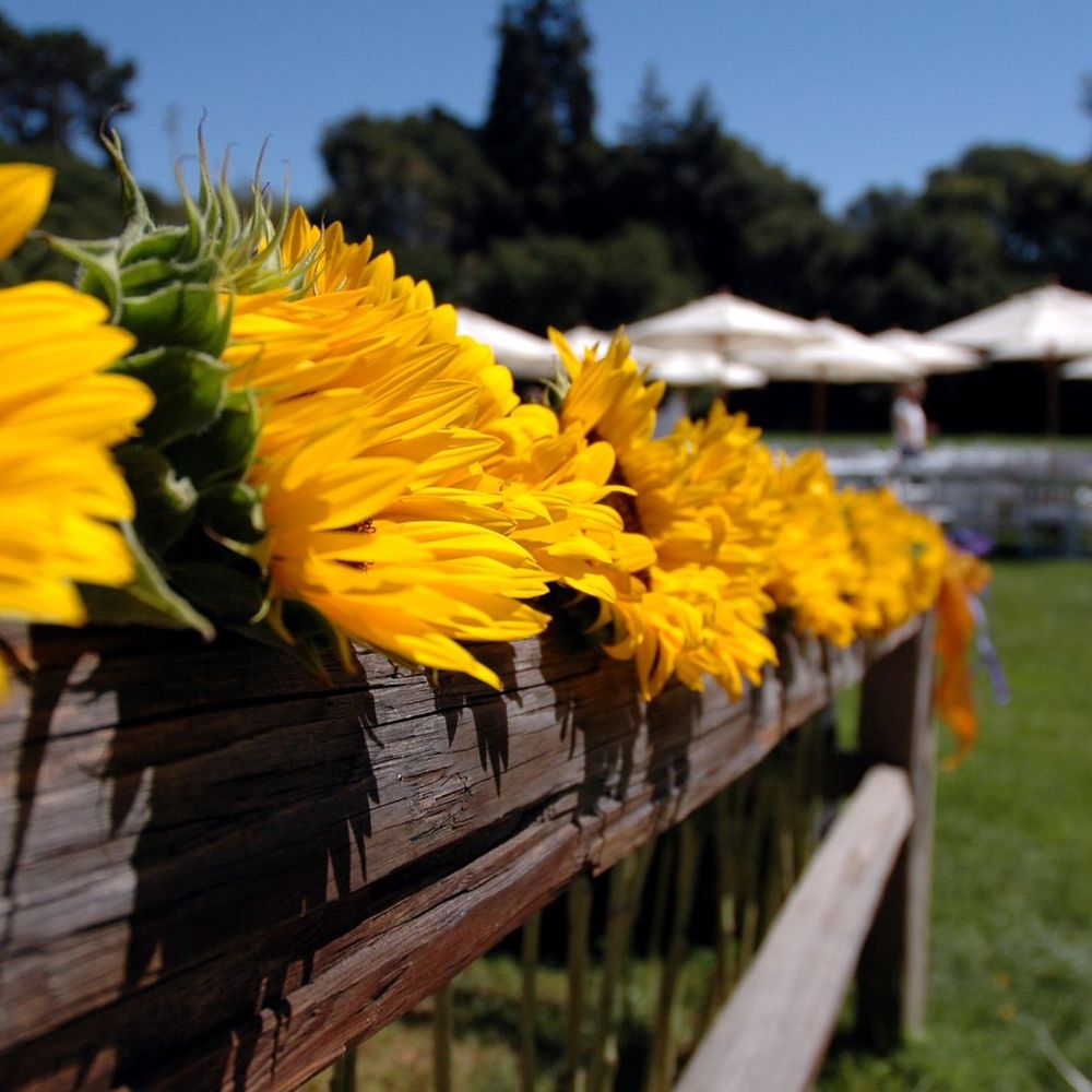 Meet your Posher, Marcy